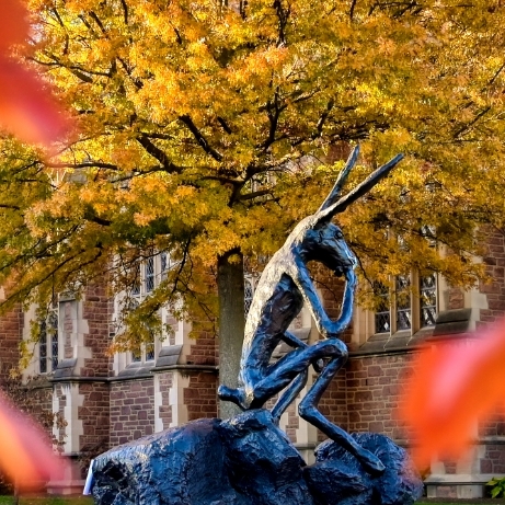 The statue of a bunny thinking called 'Thinker on a Rock'