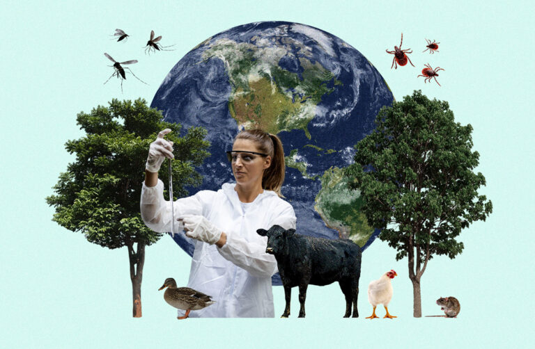 The changing landscape of disease on a warming planet