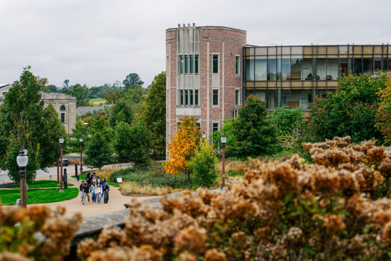 WashU Public Health faculty, staff honored for cutting-edge, innovative research
